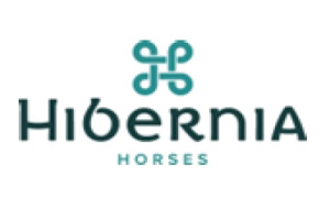 Hibernia Horses
